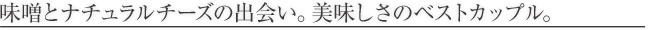category_titlebox_large