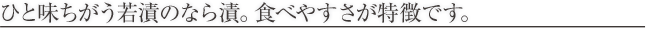 category_titlebox_large